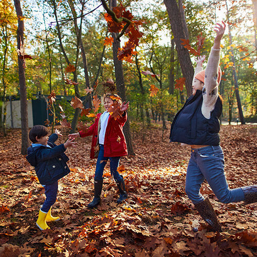 Center Parcs
